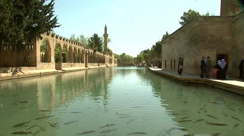 Fishlake26 Stock Footage 25774879