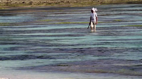 Fishman at the ocean Stock Footage 27447314