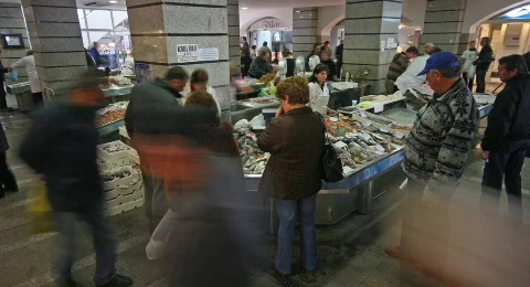 Fishmarket 3 Stock Footage 670654