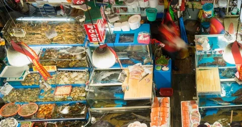 Fishmarket closeup Stock Footage 111903007