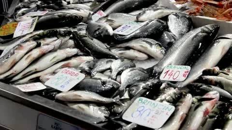 Fishmarket offer Stock Footage 12097534