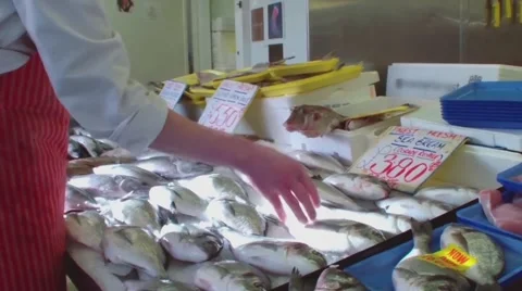 Fishmonger arranges market stall. 스톡 동영상 46498877