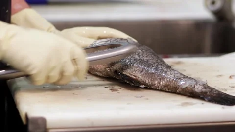 Fishmonger cleaning fish Stock Footage 75451479