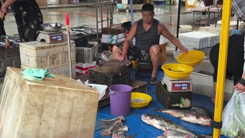 Fishmonger Cleans Fresh Fish at a Rainy Dandong Market Vidéo 340176001