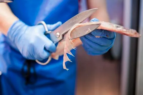 Fishmonger cutting fish with scissors Stock Photos
