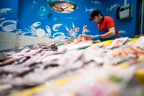 Fishmonger placing the fish in the fish store Stock Photos