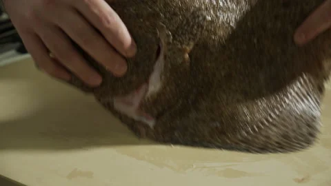 Fishmonger preparing the fish  Stock Footage 163317291