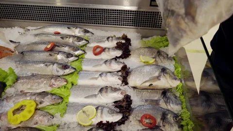 A fishmonger showing the fresh fish at the fish market. Group of different fish Stock Footage 140146647