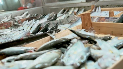 Fishmonger Stand Close Up Stock Footage 87835228