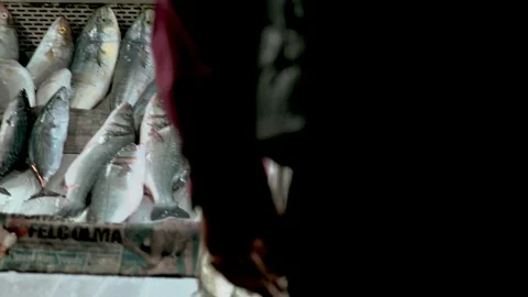 Fishmonger in Turkey Stock Footage 87834959