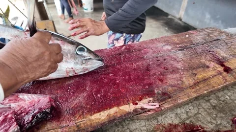 Fishmongers Cutting and Distributing Fish Remains at Local Outdoor Fishing Stock Footage 342666022