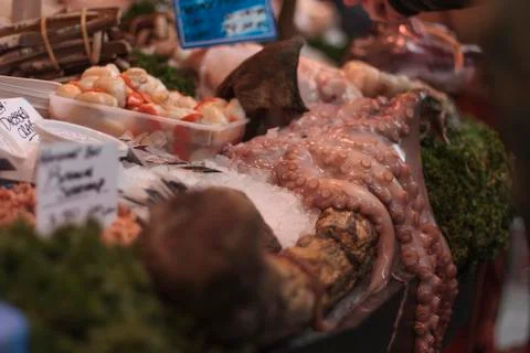 Fishmonger's display Stock Photos