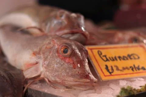 Fishmonger's display Stock Photos