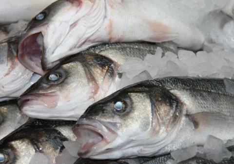 Fishmongers Slab. Foto stock