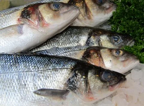 Fishmongers Slab. Stock Photos