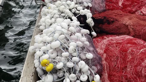 Fishnet Fishing Lines in a Dock Stock Footage 237374325