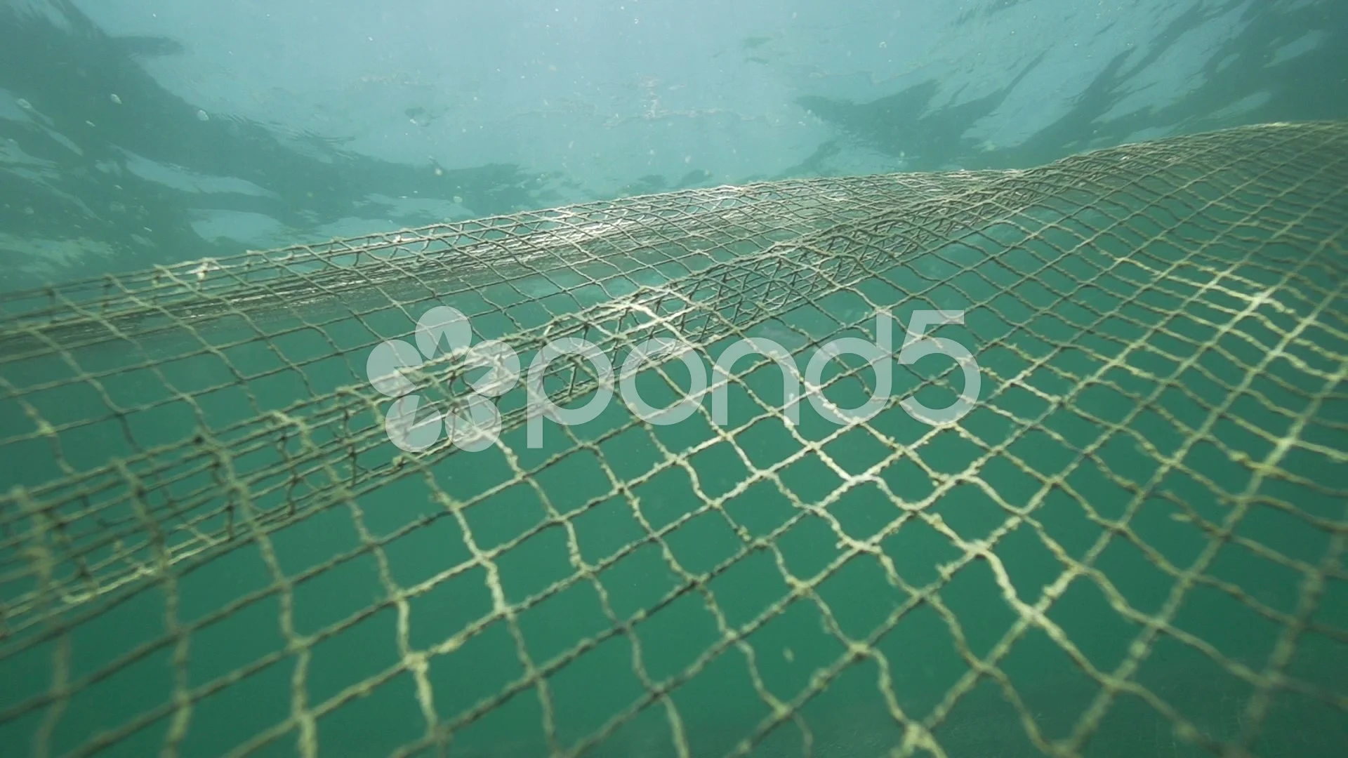 fishnet floats underwater in slow motion, Stock Video