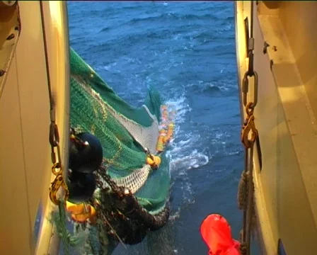 Fishnet Stock Footage 618954