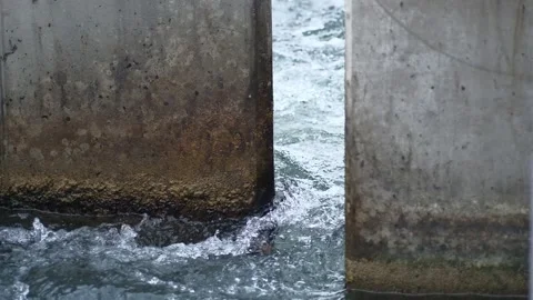 Fishpass at the river enns Stock Footage 163325469