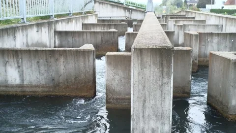 Fishpass at the river enns Stock Footage 163325516