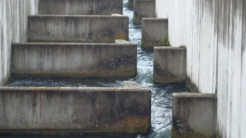 Fishpass at the river enns Stock Footage 163328170