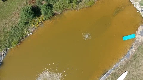 Fishpond Stock Footage 93143474