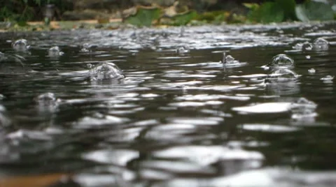 Fishpond raindrops Vidéo 8832483