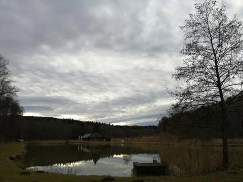Fishpond  with reflexion Stock Photos