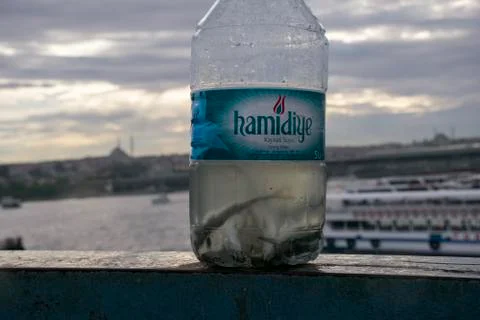 Fishs in empty water bottle Stock Photos