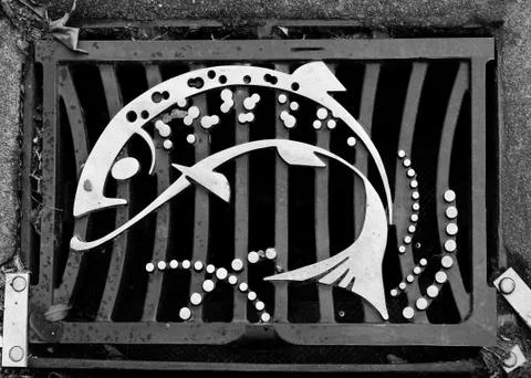 Fishy drain Stock Photos