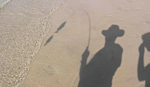 Fishy Shadows Stock Photos
