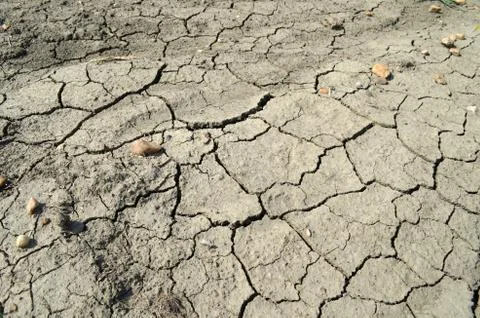 Fissured earth Stock Photos