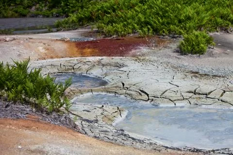 Fissured the earth Stock Photos