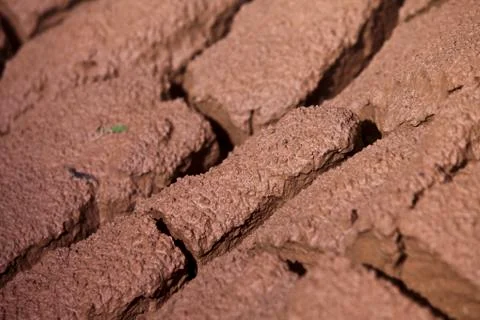 Fissured the earth Stock Photos