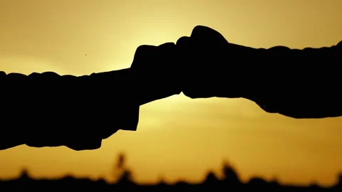 Fists silhouette, handshake silhouette, teamwork together, agreement open Stock Footage 247130323