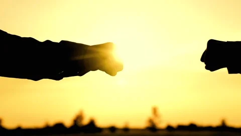 Fists silhouette, handshake silhouette, teamwork together, agreement open Stock Footage 247395789