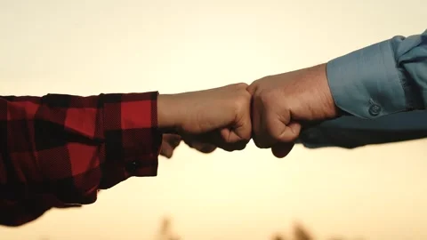 Fists silhouette, handshake silhouette, teamwork together, agreement open Stock Footage 248264248