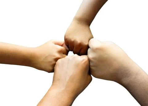 Fists of Unity Isolated on the White Background Stock Photos
