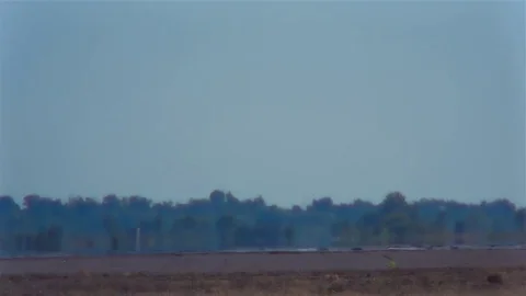 Fit bomber rear view Stock Footage 84229040
