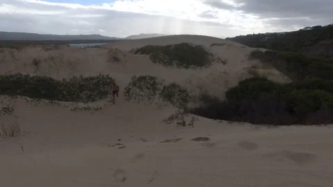 Fit man running on dunes Vidéo 104312286