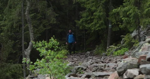 A fit young man is walking alone on a rocky terrain, coming out of the forest. Stock Footage 243749458