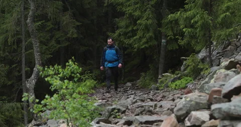 A fit young man is walking alone on a rocky terrain, coming out of the forest. Stock Footage 243750564