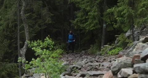A fit young man is walking alone on a rocky terrain, coming out of the forest. Stock Footage 243750659
