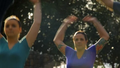 Fitness class do jumping jacks in park. Stock Footage 88407339
