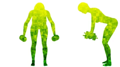 Fitness collection. 23 loop animations. Alpha channel.4K. Stock Footage 78577656