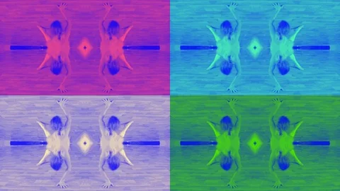 Fitness Dance Stock Footage 82469938