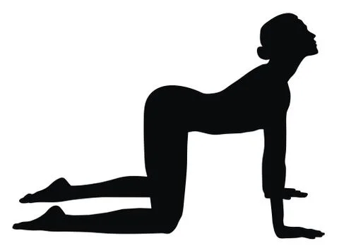 Fitness exercises Stock Illustration