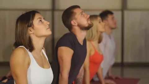 Fitness group doing cobra pose in row at the yoga class Stock Footage 70463538