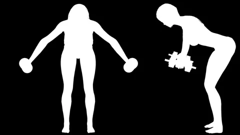 Fitness kit. 23 loop animations. Alpha channel. Alpha matte. 4K. Stock Footage 77955274