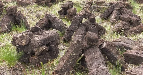 Fitting and Cutting Turf Peat with a spade in a Moss Bog in Ireland 1 4K Stock Footage 101645606